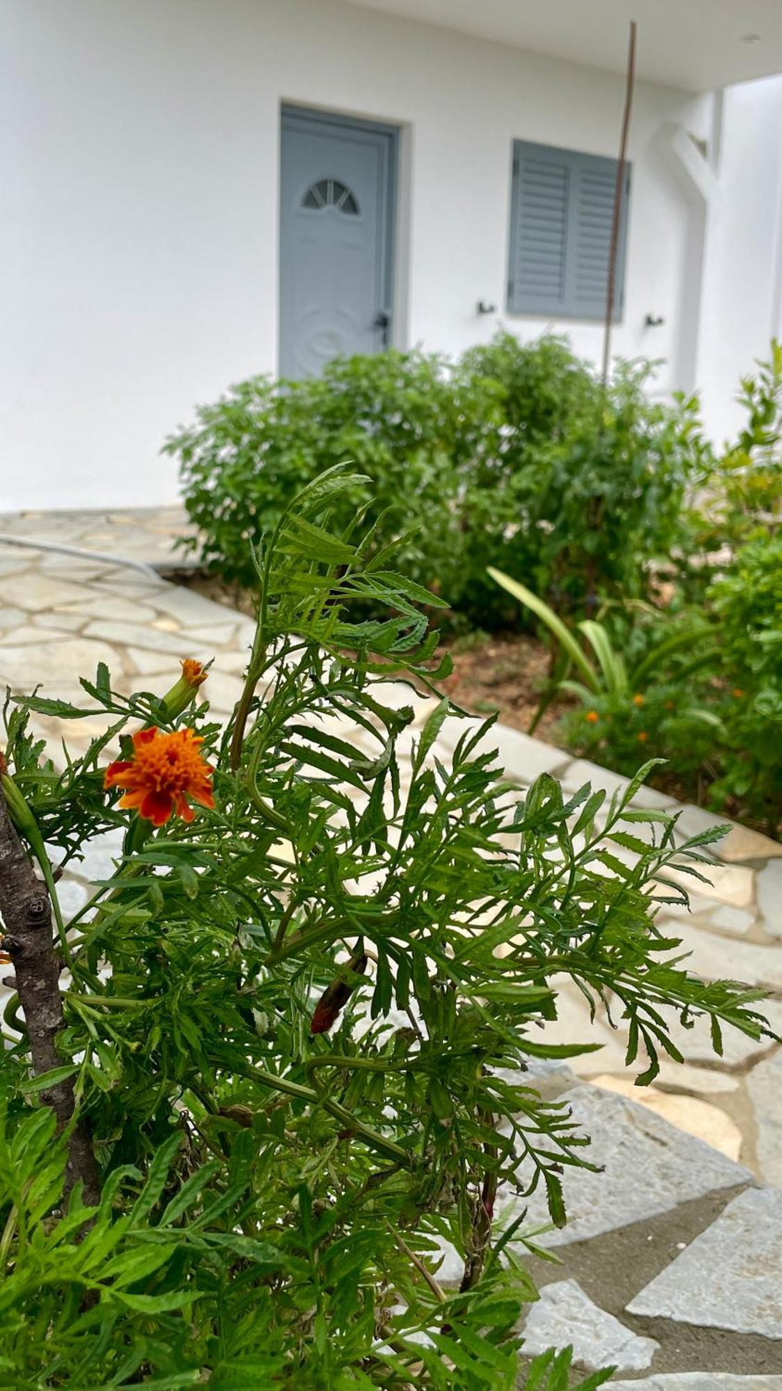 Tasos Rooms Himare Ngoại thất bức ảnh